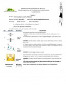 DEPARTAMENTO DE ACTIVIDADES EXTRAESCOLARES BASQUETBOL