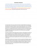 MATERNIDAD SUBROGADA