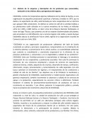 Historia de la empresa cecovasa