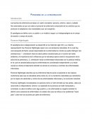 PARADIGMA DE LA CATEGORIZACIÓN FLORENCE NIGHTINGALE