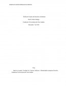 ENSAYO DE FUENTES FORMALES DEL DERECHO
