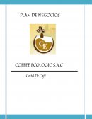 Plan de Negocios COFFE ECOLOGIC S.A.C
