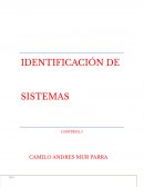Identificacion de sistemas