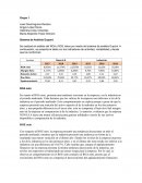 Sistema de Análisis Dupont