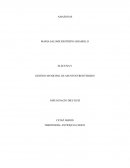 GESTION MUNICIPAL DE ASUNTOS FRONTERIZOS