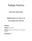 Análisis de las Experiencias en las Disciplinas escolares