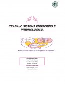 Sistema endocrino e inmunologico