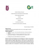 Bitacora agrotransformación biotecnología molecular