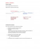 Semana 1 – El Comercio Persona Jurídica