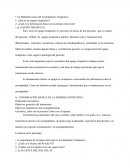 Las Múltiples tareas del Acompañante Terapéutico