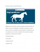 SISTEMA USADO Y CARACTERÍSTICAS