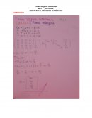 2do parcial métodos numéricos