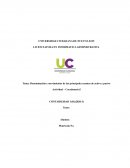 Denominación y movimientos de las principales cuentas de activo y pasivo
