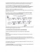 Transformación digital