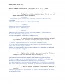 RAÍZ Y PÁRAMO DE GUZMÁN, ESFUERZO Y AZAR EN EL ÉXITO