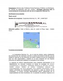 Estrategia gerencial La Cooperativa Rammar, R.L