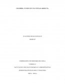 Colombia, un país con una ventaja absoluta