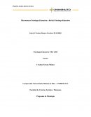 Psicología Educativa y Rol del Psicólogo Educativo