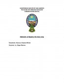 REINOS AYMARA EN BOLIVIA