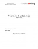 Presentacion de un estudio de mercado.Taller de Pintura y Desabolladura Automotriz