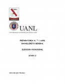 ELECCION VOCACIONAL