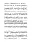 Riesgos generados por los dos cisnes negros