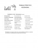 HEGEMONIA- NIÑEZ Y ADOLESCENCIA