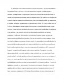 El capitalismo es un sistema económico