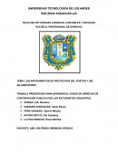 LOS INSTRUMENTOS DE PROTECCIÓN DEL POSTOR Y DEL ADJUDICATARIO