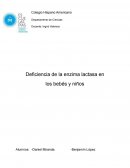 Deficiencia de la enzima lactosa en los bebés y niños
