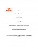 Actividad: Unidad 1 Planeación, dirección y control de una empresa
