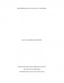 MIS MEMORIAS SON LAGUNAS DE LA PANDEMIA