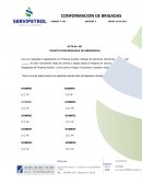 CONSTITUCIÓN BRIGADAS DE EMERGENCIA