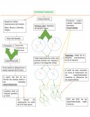 Temas de Embriología