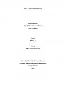 Representación iconica