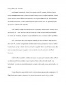 Ensayo: Periquillo Sarniento