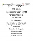 Plan Temático en el Marco de la Emergencia de Salud por la Pandemia