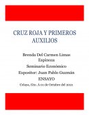 Ensayo primero auxilios