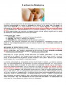 Lactancia materna