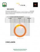 ENCUESTA LIFE & COLOR