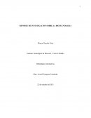 REPORTE DE INVESTIGACION SOBRE LA BIOTECNOLOGIA