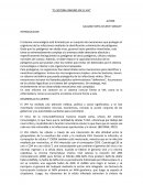 El sistema inmune en el VIH