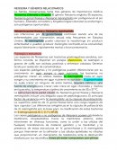 NEISSERIA Y GÉNEROS RELACIONADOS