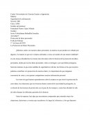 Ensayo de Protección de datos personales