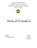 Teorias de la conducta