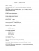 Anatomia de miembro superior