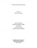 APEGO EN EL DESARROLLO DE INFANCIA