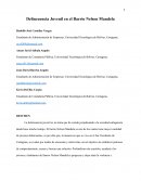 Delincuencia Juvenil en el Barrio Nelson Mandela