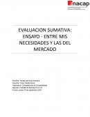 ENSAYO - ENTRE MIS NECESIDADES Y LAS DEL MERCADO