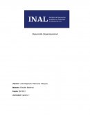 ¿Qué es el desarrollo organizacional?